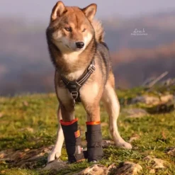 Allpha Soins Pour Chat|Soins Pour Chien^THERMO+ Guêtres Chiens & Chats