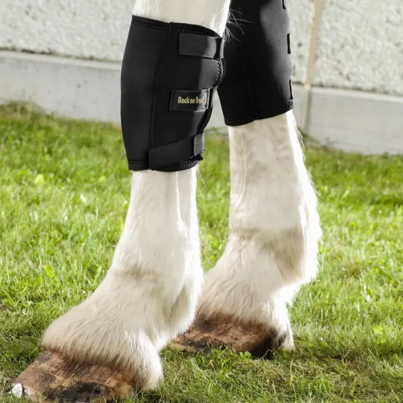 Back on Track Récupération Des Membres^Genouillère Droite Cheval