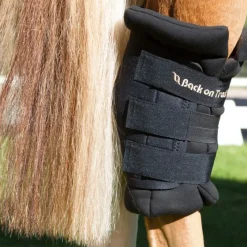 Back on Track Protections De Transport^Protege Jarret Cheval Royal