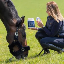 Bleu-Roy Oligo-Éléments|Vitamines, Minéraux^B-Fit