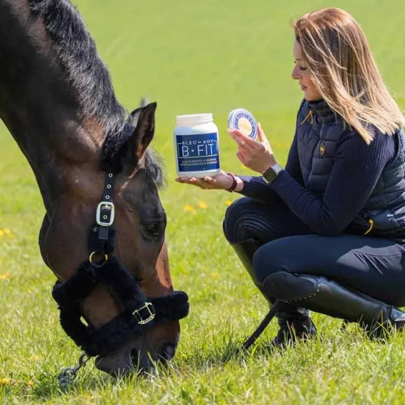 Bleu-Roy Oligo-Éléments|Vitamines, Minéraux^B-Fit