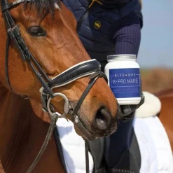 Bleu-Roy Chaleurs Jument^B-Pro Mare