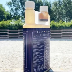 Bleu-Roy Electrolytes^L-Electrolytes