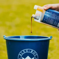 Bleu-Roy Immunité|Arthrose^L-Senior