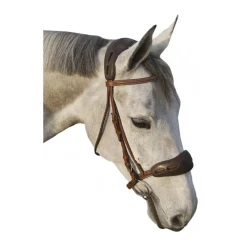 C.S.O. Rênes, Accessoires^Protection de Têtière ou Muserolle en Gel