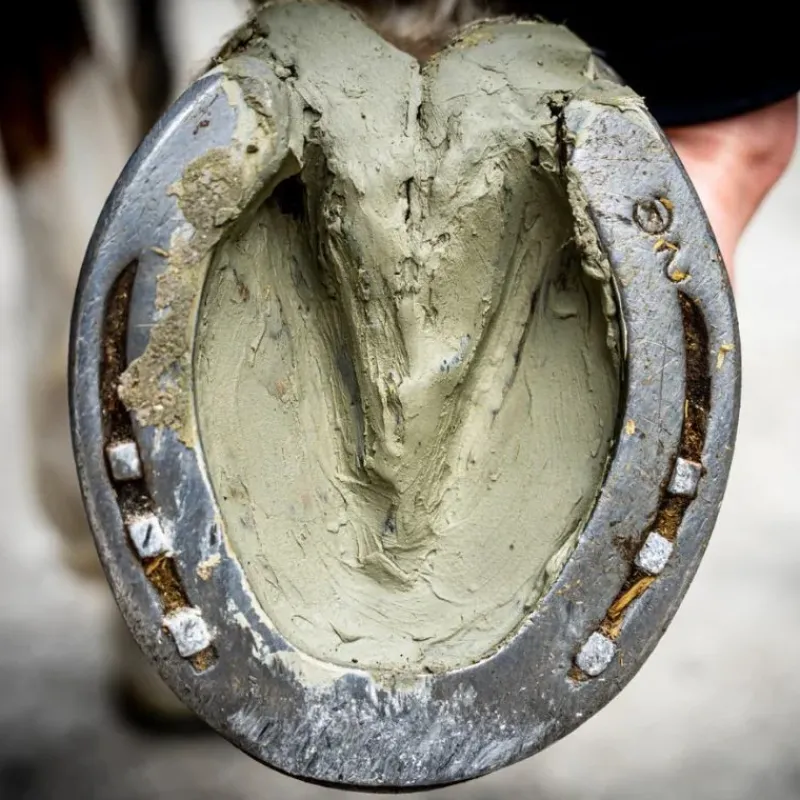 Cura Naturale Abcès|Fourmilières, Seimes^Argile Sabots Sensibles