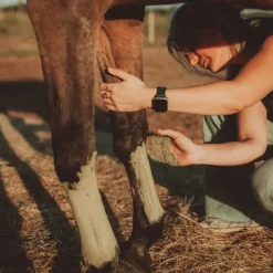 Cura Naturale Argiles^Argile Soutien Tendineux