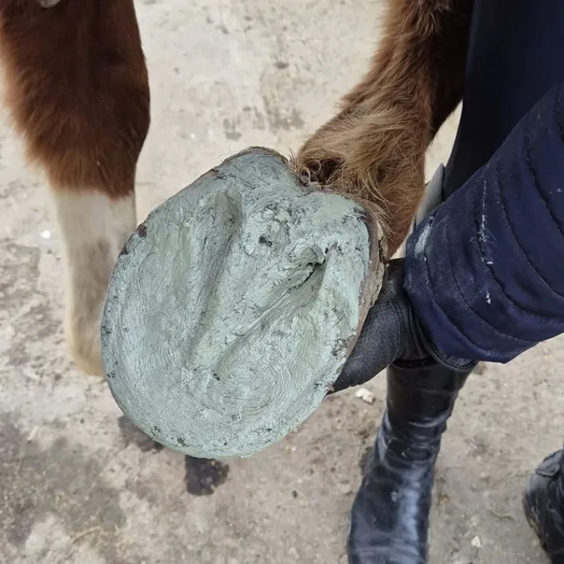 Eki-Zen Abcès|Fourmilières, Seimes^Argile Sabot-Zen