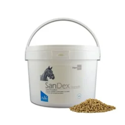 Fedvet Psyllium|Coliques, Diarrhées^Sandex Coliques de Sable