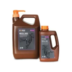 Foran Coup De Sang|Vitamine E Sélénium^Muscle Max