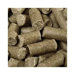 Speed Friandises^Friandise Cheval Delicious ies Eucalyptus