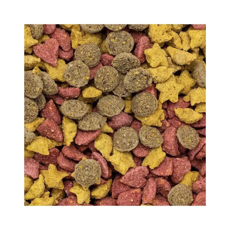 Speed Friandises^Friandise Cheval Mélange Fruité