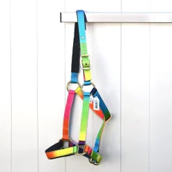 Gamme du Marechal Autres Licols^Gamme du Maréchal Licol - Multicolore