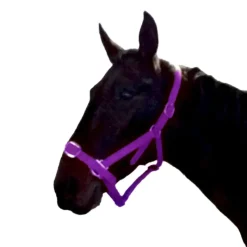 Gamme du Marechal Autres Licols^Gamme du Maréchal Licol en biothane - Violet