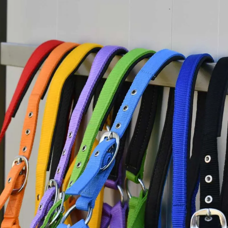 Gamme du Marechal Autres Licols^Gamme du Maréchal Licol Nylon Triple Épaisseur - Violet