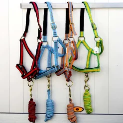 Gamme du Marechal Autres Licols^Gamme du Maréchal Licol Triple Épaisseurs + Longe - Noir / Rouge