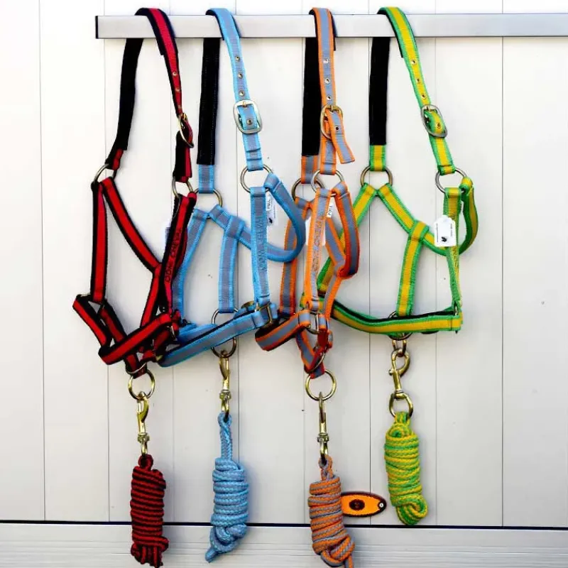 Gamme du Marechal Autres Licols^Gamme du Maréchal Licol Triple Épaisseurs + Longe - Jaune / Vert