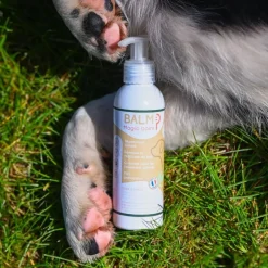 Happy Scoop Jouets & Friandises Pour Chien|Soins Pour Chien^- Balm Chien