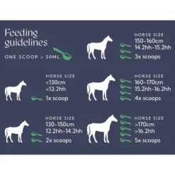 Hilton Herbs Hilton Herbs|Etat Général^Equimmune / Equimmune Gold