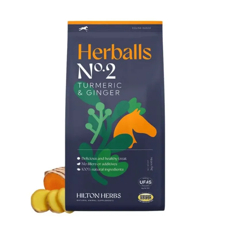 Hilton Herbs Friandises^Herballs n°2 Curcuma & Gingembre Friandises Cheval