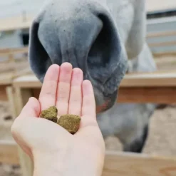 Hilton Herbs Friandises^Herballs n°3 Framboisier & Guimauve Friandises Cheval