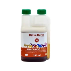 Hilton Herbs Compléments Alimentaires Pour Chien|Hilton Herbs^Senior Dog Gold Chien Âgé
