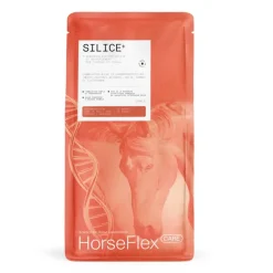 HorseFlex Care Tendons, Tendinites^Silice+