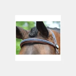 Jump'In Bridons^Bridon Crystal Collection Week - Cristal Marine