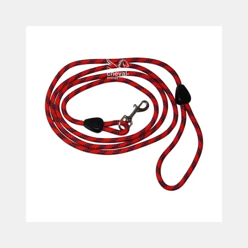 Equi-Theme Accessoires Pour Chien^Laisse avec Poignée