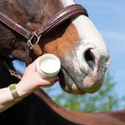 Natural Innov Protections Solaires^Natural'Sun