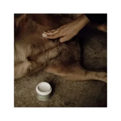 Nellumbo Soins Pour Chien^Baume Peaux Sensibles