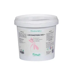 Nutragile Arthrose|Squelette, Cheval Naviculaire^Locomotion Mix+