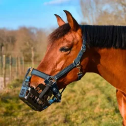 Stop Fourbure Pharmacie^Panier Stop'Fourbure
