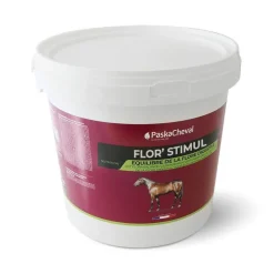 Paskacheval Ulcères, Acidité Gastrique|Flore Intestinale, Pré/Probiotiques^Flor'Stimul Flore Intestinale Cheval
