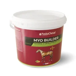 Paskacheval Développement Musculaire^Myo Builder