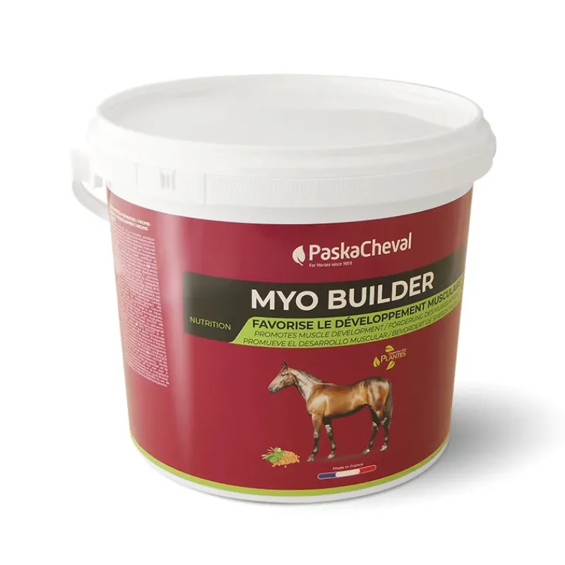Paskacheval Développement Musculaire^Myo Builder