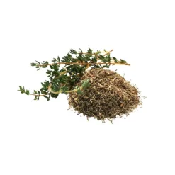 Phytology VetCare Phytology Vetcare|Thym^Thym pur Toux sèche et Respiration Cheval