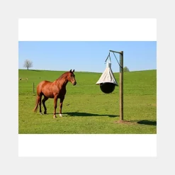 Anti-Mouches Écuries|Pièges Anti-Insectes^Piège à Taons TaonX Eco KERBL