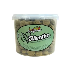 Pony Power Friandises^Friandises Menthe