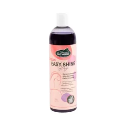 Ravene Shampoings^Easy Shine Grey