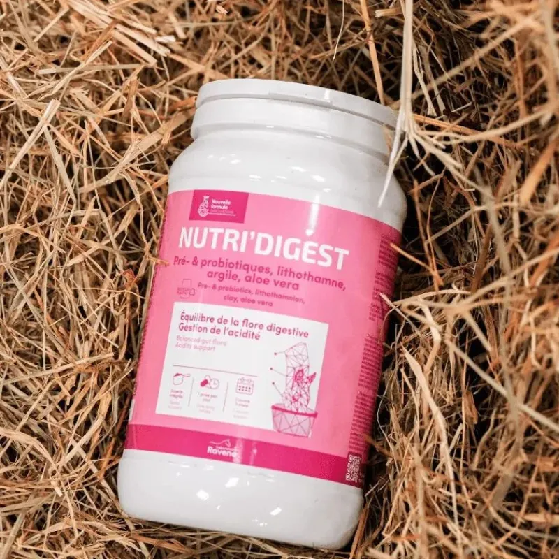 Ravene Ulcères, Acidité Gastrique|Flore Intestinale, Pré/Probiotiques^Nutri'Digest