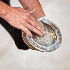 Ravene Fourchettes Pourries^Pediplaste