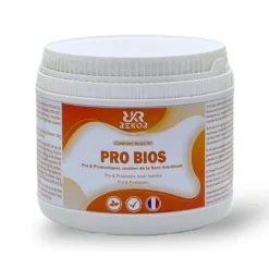 Rekor Reprise D'Etat|Coliques, Diarrhées^Pro Bios