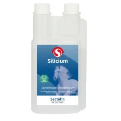 Sectolin Squelette, Cheval Naviculaire^Silicium pour Chevaux