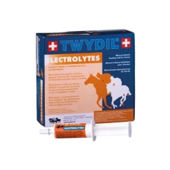 Twydil Electrolytes^Electrolytes Seringue ou Poudre